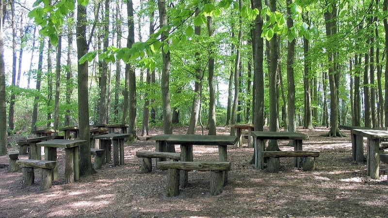 Forest School Shelter Ideas